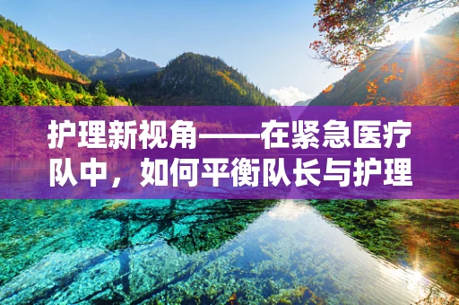 护理新视角——在紧急医疗队中，如何平衡队长与护理师的角色？