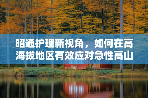 昭通护理新视角，如何在高海拔地区有效应对急性高山病患者的护理挑战？