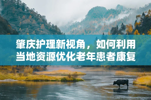 肇庆护理新视角，如何利用当地资源优化老年患者康复环境？