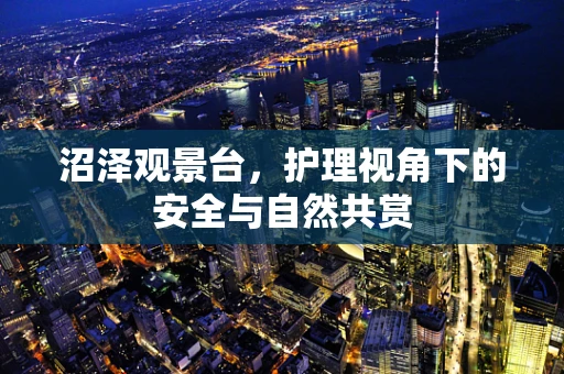 沼泽观景台，护理视角下的安全与自然共赏