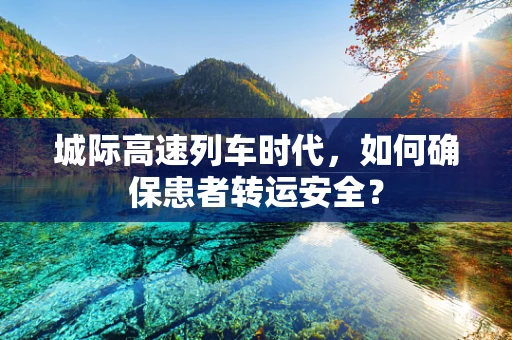 城际高速列车时代，如何确保患者转运安全？