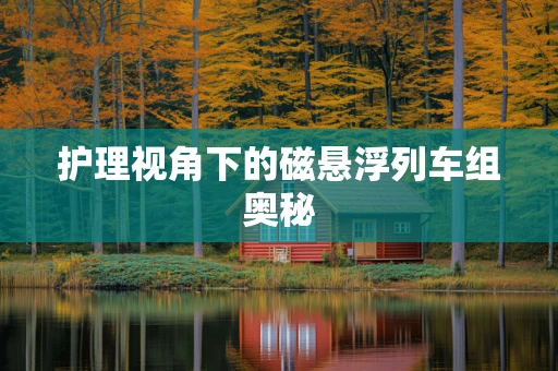 护理视角下的磁悬浮列车组奥秘