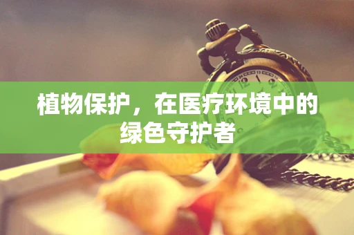 植物保护，在医疗环境中的绿色守护者