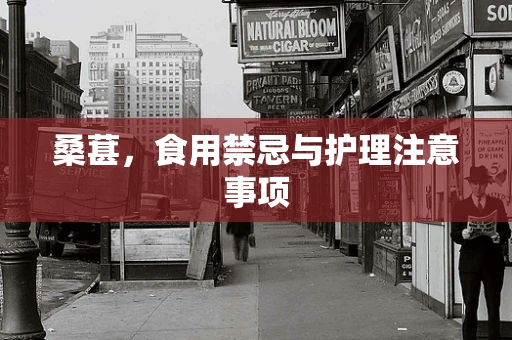 桑葚，食用禁忌与护理注意事项