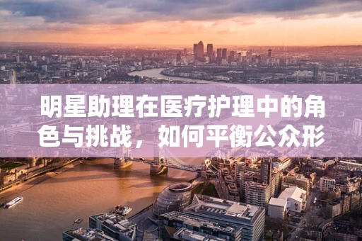 明星助理在医疗护理中的角色与挑战，如何平衡公众形象与专业护理？
