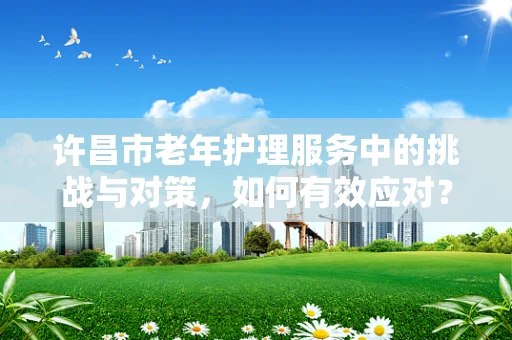许昌市老年护理服务中的挑战与对策，如何有效应对？