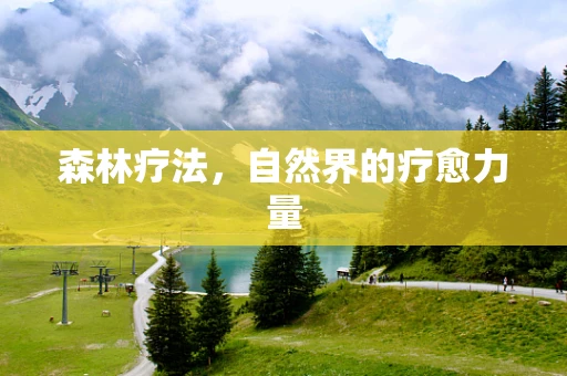 森林疗法，自然界的疗愈力量
