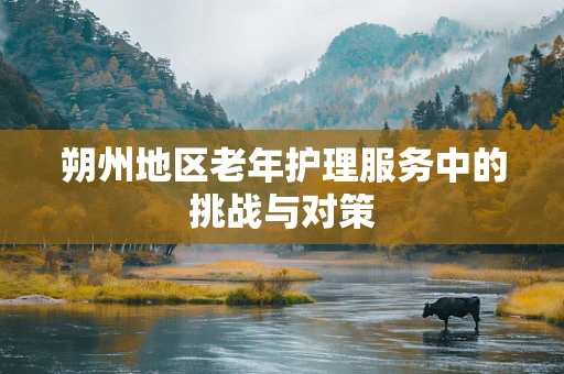 朔州地区老年护理服务中的挑战与对策