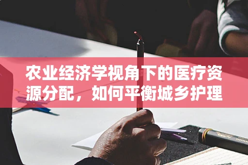 农业经济学视角下的医疗资源分配，如何平衡城乡护理资源？