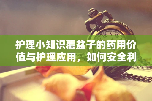护理小知识覆盆子的药用价值与护理应用，如何安全利用其益处？