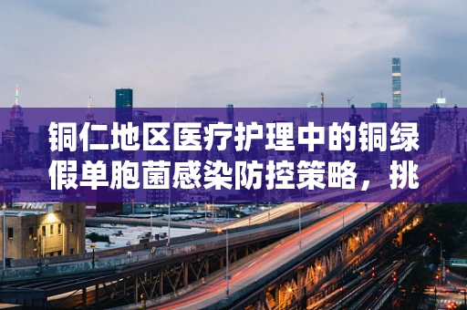 铜仁地区医疗护理中的铜绿假单胞菌感染防控策略，挑战与对策