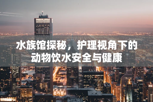 水族馆探秘，护理视角下的动物饮水安全与健康