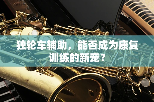 独轮车辅助，能否成为康复训练的新宠？