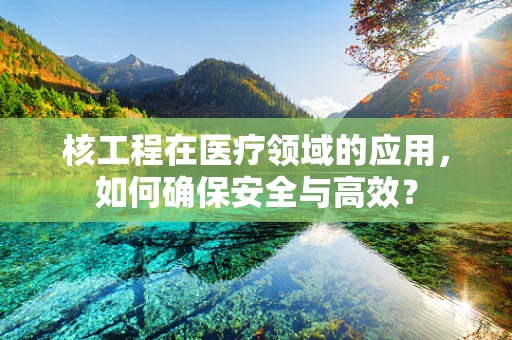 核工程在医疗领域的应用，如何确保安全与高效？