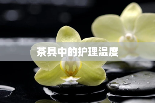 茶具中的护理温度