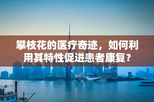 攀枝花的医疗奇迹，如何利用其特性促进患者康复？