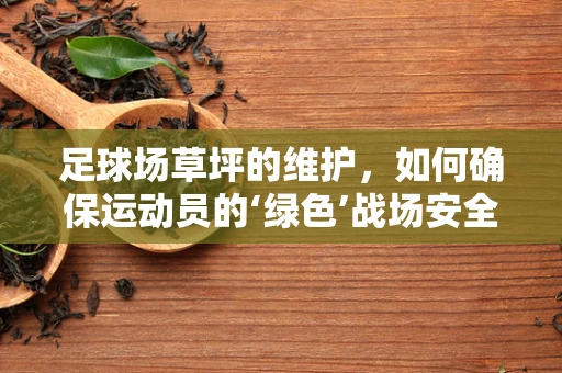 足球场草坪的维护，如何确保运动员的‘绿色’战场安全？