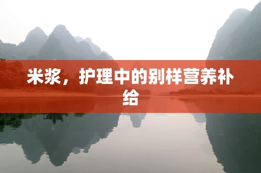米浆，护理中的别样营养补给