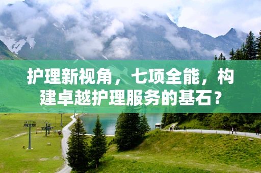 护理新视角，七项全能，构建卓越护理服务的基石？