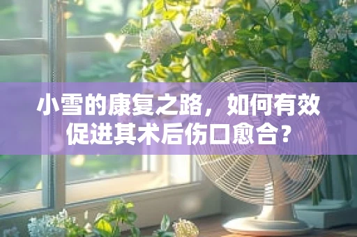 小雪的康复之路，如何有效促进其术后伤口愈合？