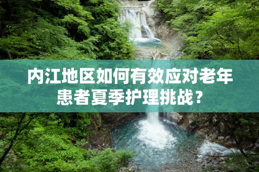 内江地区如何有效应对老年患者夏季护理挑战？