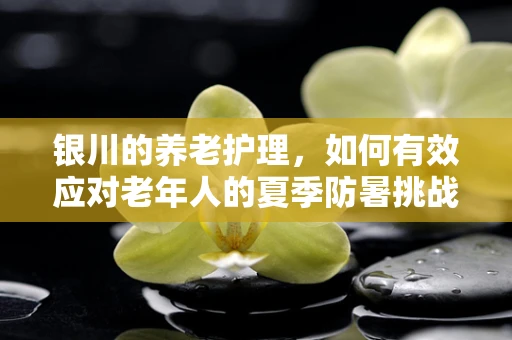 银川的养老护理，如何有效应对老年人的夏季防暑挑战？