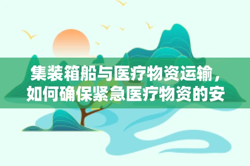 集装箱船与医疗物资运输，如何确保紧急医疗物资的安全送达？