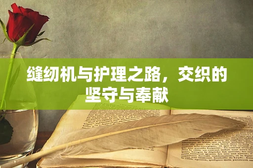 缝纫机与护理之路，交织的坚守与奉献