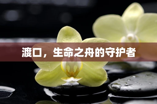 渡口，生命之舟的守护者