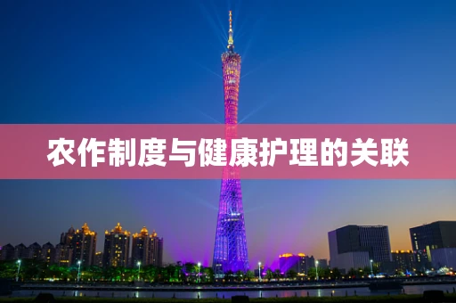 农作制度与健康护理的关联