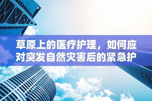 草原上的医疗护理，如何应对突发自然灾害后的紧急护理挑战？