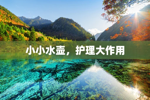 小小水壶，护理大作用