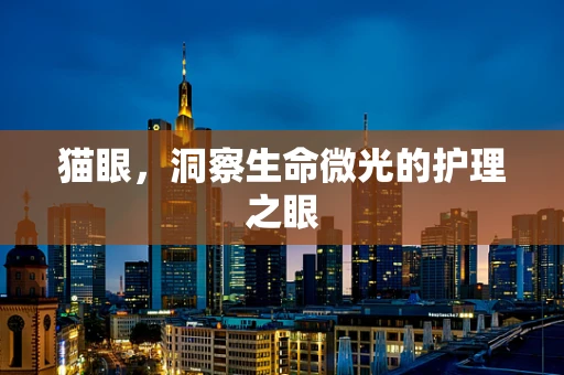 猫眼，洞察生命微光的护理之眼
