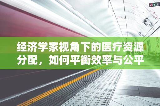 经济学家视角下的医疗资源分配，如何平衡效率与公平？