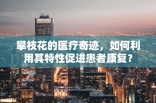 攀枝花的医疗奇迹，如何利用其特性促进患者康复？
