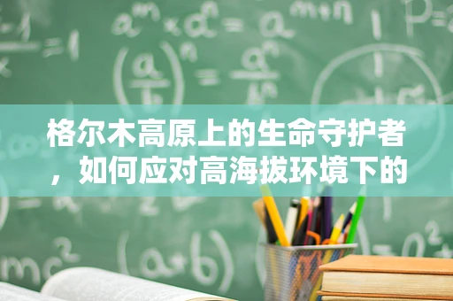 格尔木高原上的生命守护者，如何应对高海拔环境下的护理挑战？
