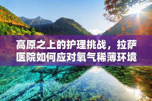 高原之上的护理挑战，拉萨医院如何应对氧气稀薄环境下的护理难题？
