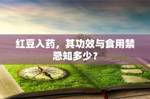 红豆入药，其功效与食用禁忌知多少？