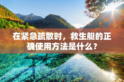 在紧急疏散时，救生艇的正确使用方法是什么？