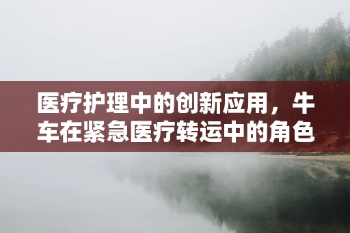 医疗护理中的创新应用，牛车在紧急医疗转运中的角色与挑战
