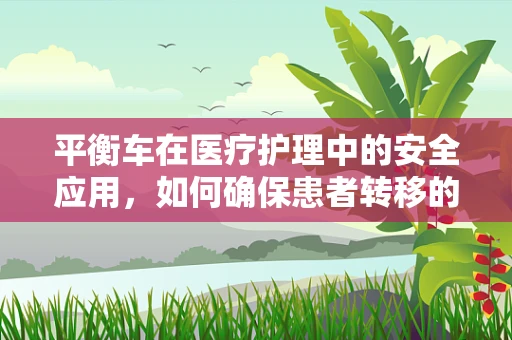 平衡车在医疗护理中的安全应用，如何确保患者转移的平稳与安全？