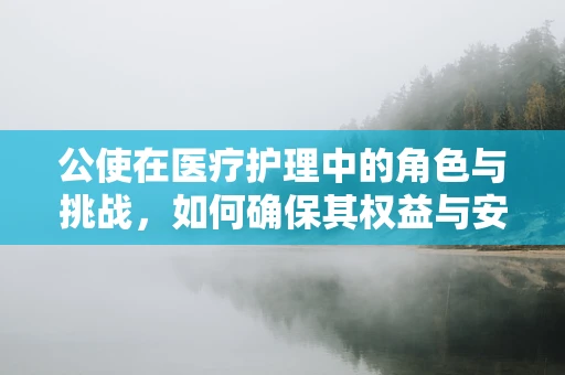 公使在医疗护理中的角色与挑战，如何确保其权益与安全？