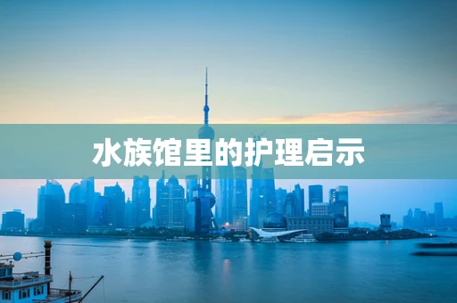水族馆里的护理启示
