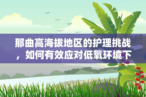 那曲高海拔地区的护理挑战，如何有效应对低氧环境下的患者护理？