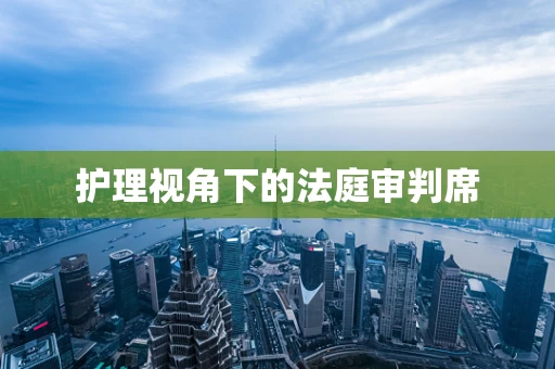 护理视角下的法庭审判席