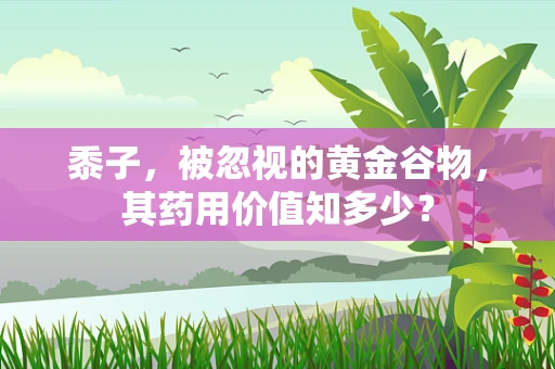 黍子，被忽视的黄金谷物，其药用价值知多少？