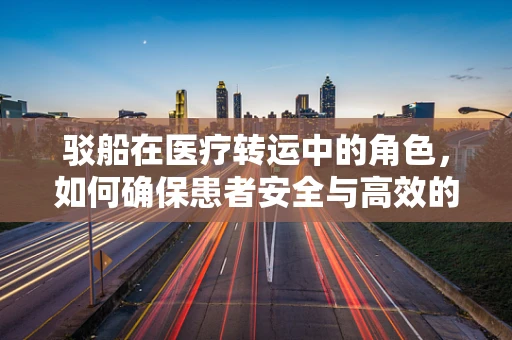 驳船在医疗转运中的角色，如何确保患者安全与高效的转移？
