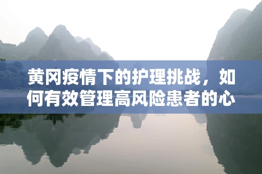 黄冈疫情下的护理挑战，如何有效管理高风险患者的心理护理？