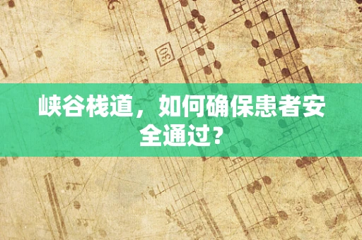 峡谷栈道，如何确保患者安全通过？