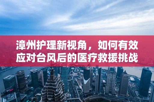 漳州护理新视角，如何有效应对台风后的医疗救援挑战？